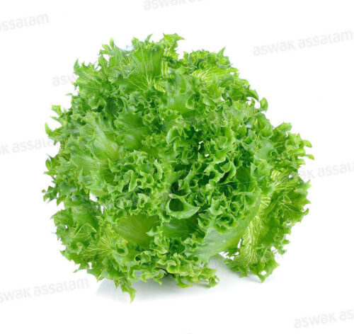 LAITUE FRISEE A LA PIECE