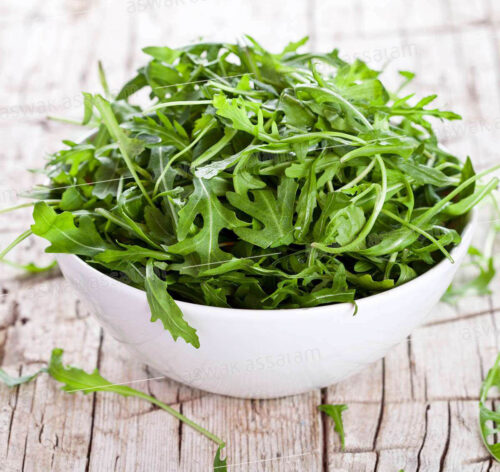 ROQUETTE IMPORT BARQUETTE 125G