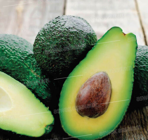 AVOCAT 1KG