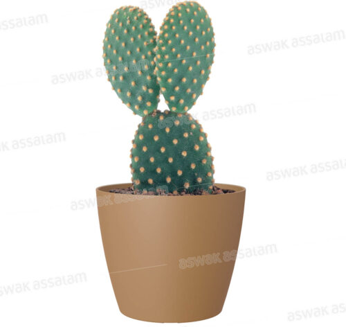 POT DE FLEURS JAUNE MOUTARDE 9CM SAN REMO