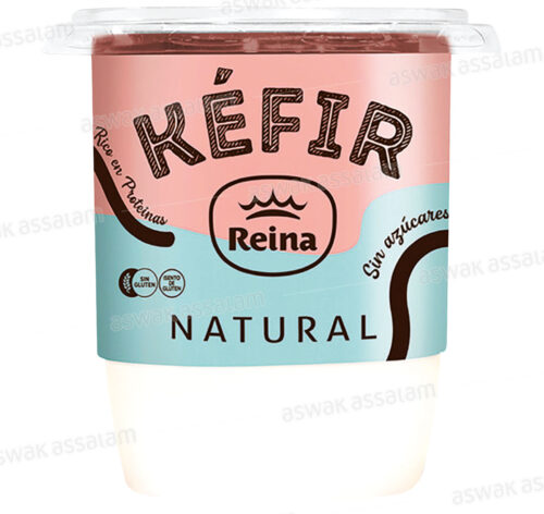 YAOURT KEFIR NATUREL 500G REINA