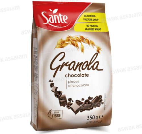 GRANOLA AU CHOCOLAT 350G SANTE