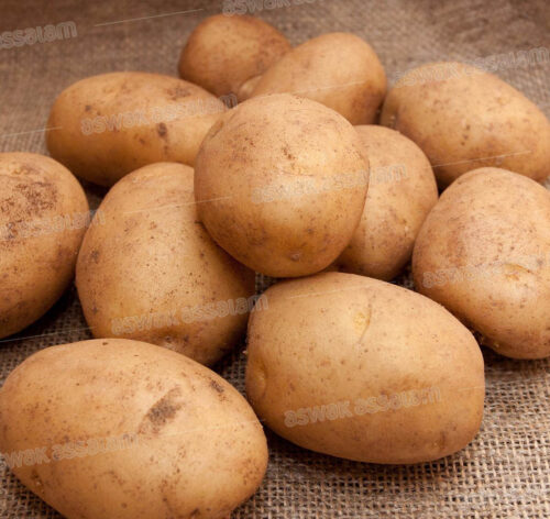 POMME DE TERRE BLANCHE 1KG