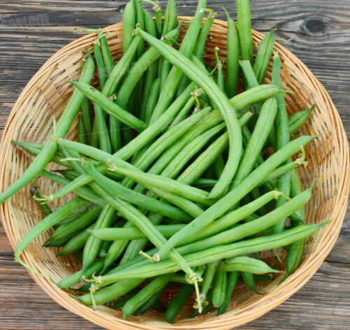 HARICOT VERT 1KG