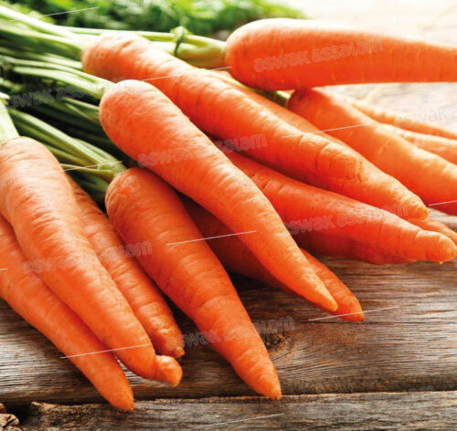 CAROTTE 1KG