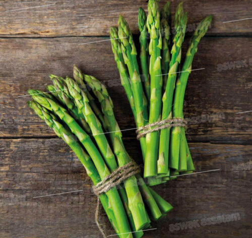 ASPERGE VERTE LA BOTTE