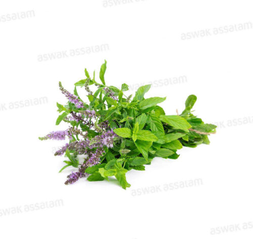 MENTHE POULIOT (FLEYOU) BOTTE