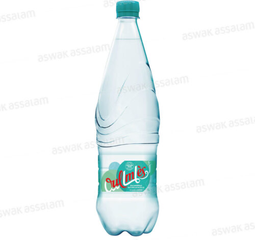 EAU GAZEUSE LEGERE 1L OULMES