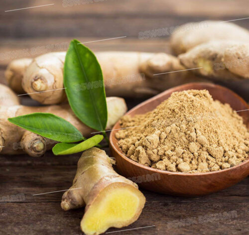 GINGEMBRE 1KG