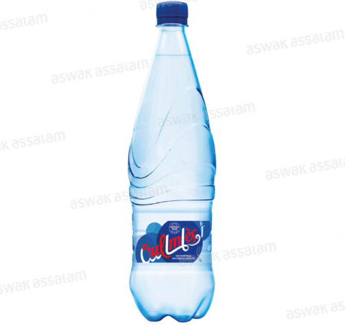 EAU GAZEUSE 1L OULMES
