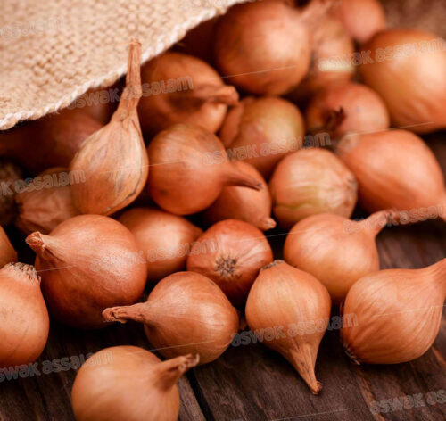 ECHALOTE IMPORT 1KG