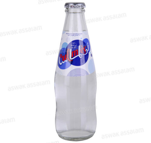 EAU MINERALE GAZEUSE BOUTEILLE EN VERRE 25CL OULMES