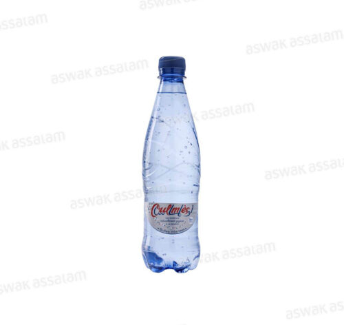 EAU GAZEUSE 50CL OULMES